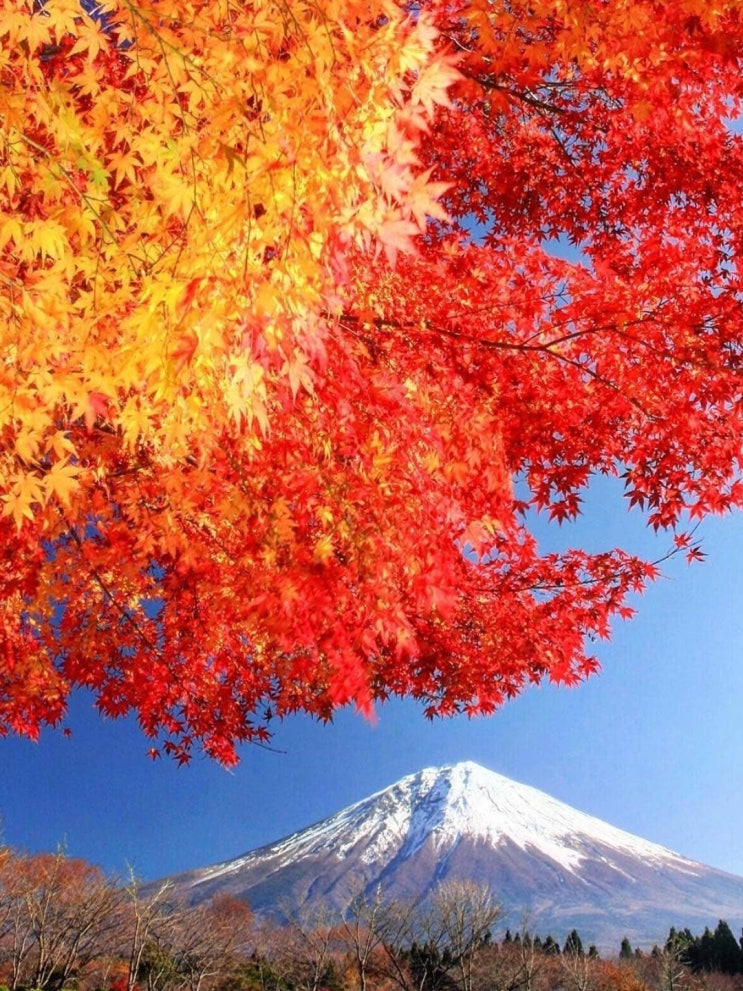세계 각국의 아름다운 가을 풍경 24 : 네이버 블로그