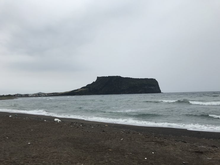  가을 여행_제주도 힐링 여행② 광치기해변,서귀포올레시장 우정횟집