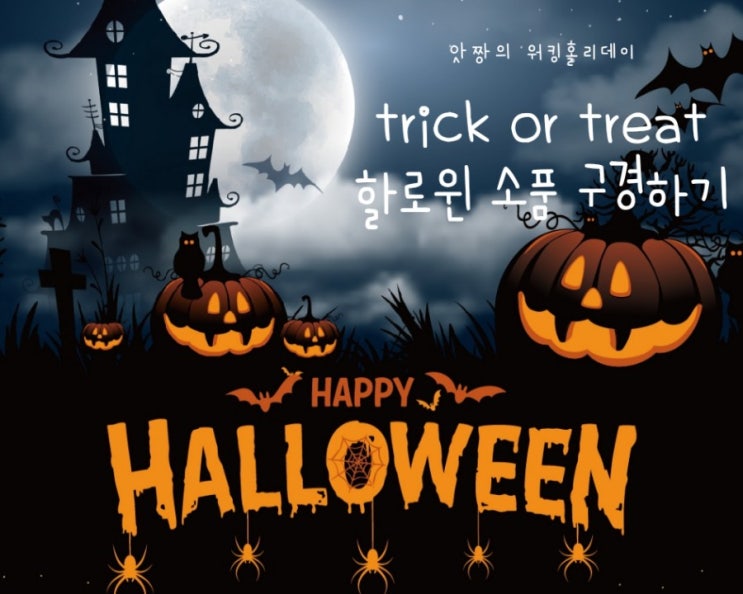  호주 골드코스트) '과자 안주면 장난칠 거야(Trick or Treat)' 11월의 축제 핼러윈 소품 구경하기