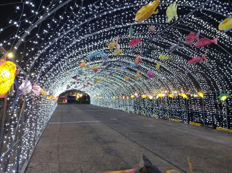 (수지 꽃집)목포 항구 축제 어등터널 설치