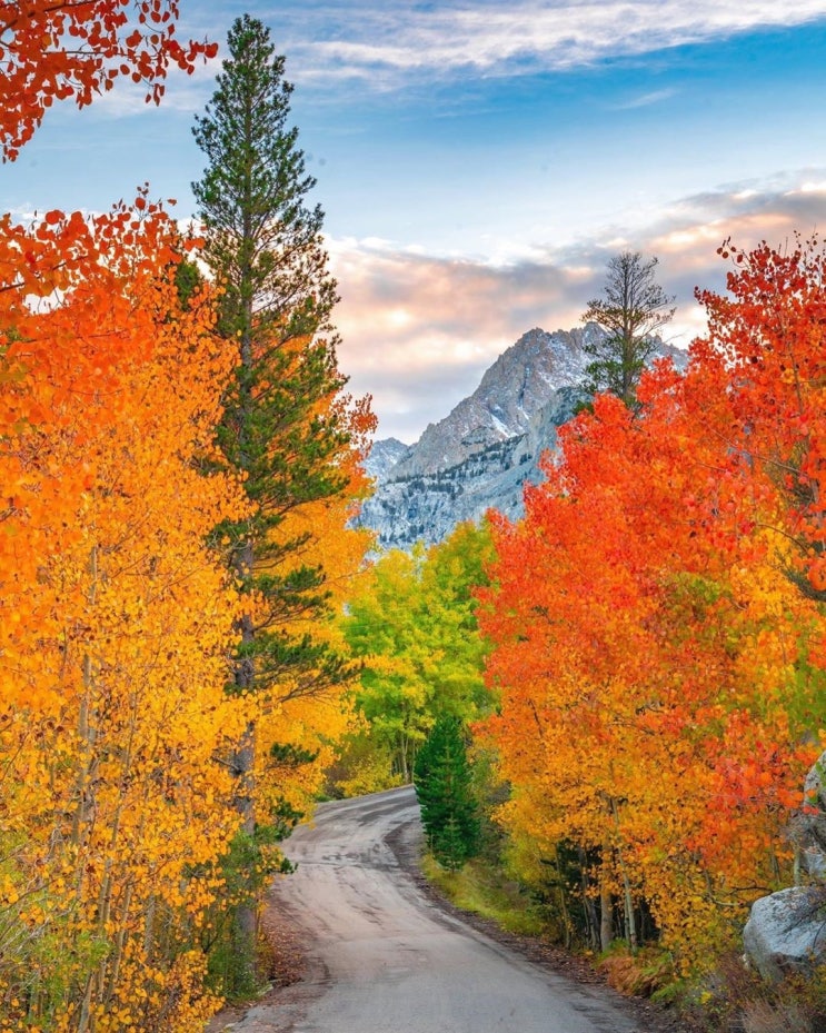 세계 각국의 아름다운 가을 풍경 24 : 네이버 블로그