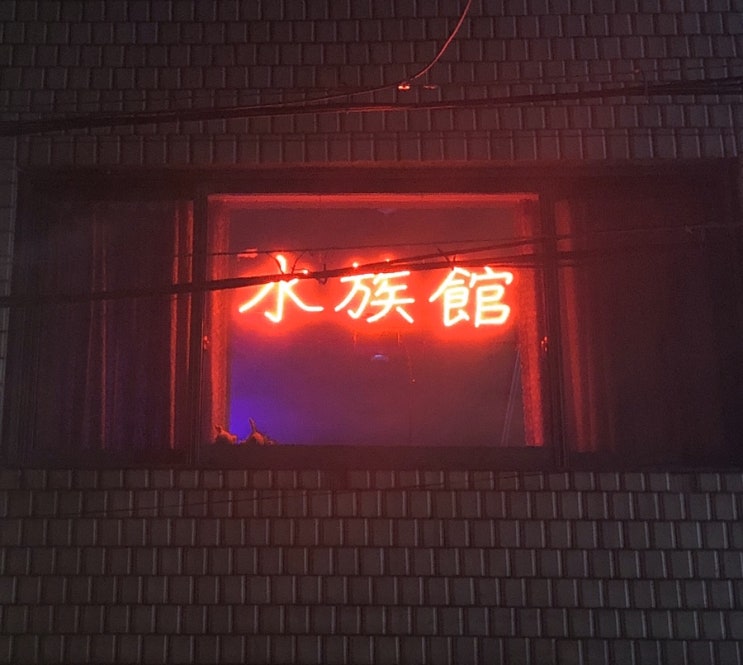  부평 수족관                                [평리단길 신상 술집]