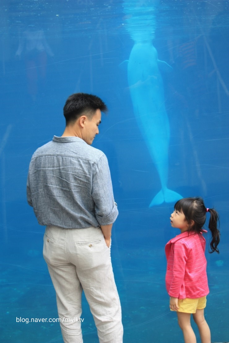  코네티컷 미스틱 Mystic 여행: 미스틱 증기기관차와 증기선: 미스틱 수족관 Mystic Aquarium 미스틱 항구 박물관 Mystic Seapot Museum