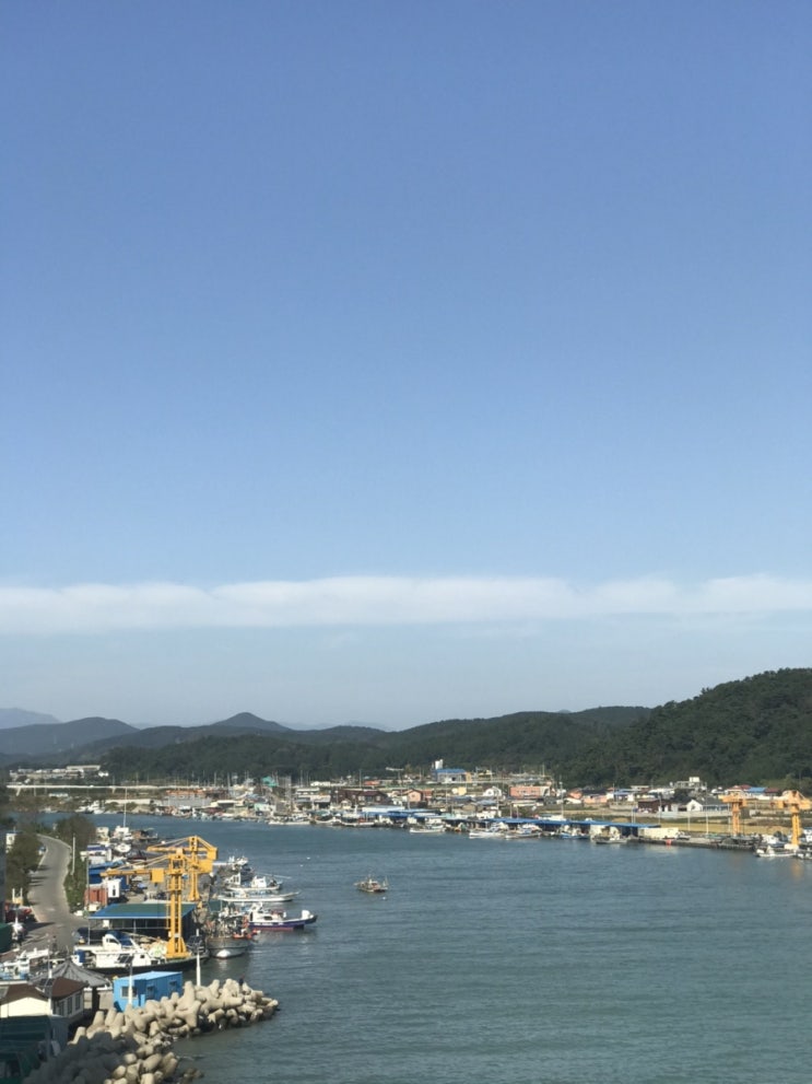  10월 태풍 미탁이후 바다산책_진하바닷가