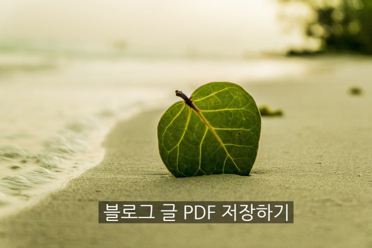  블로그 글 PDF 파일로 저장, 프린트하기(크롬브라우저)