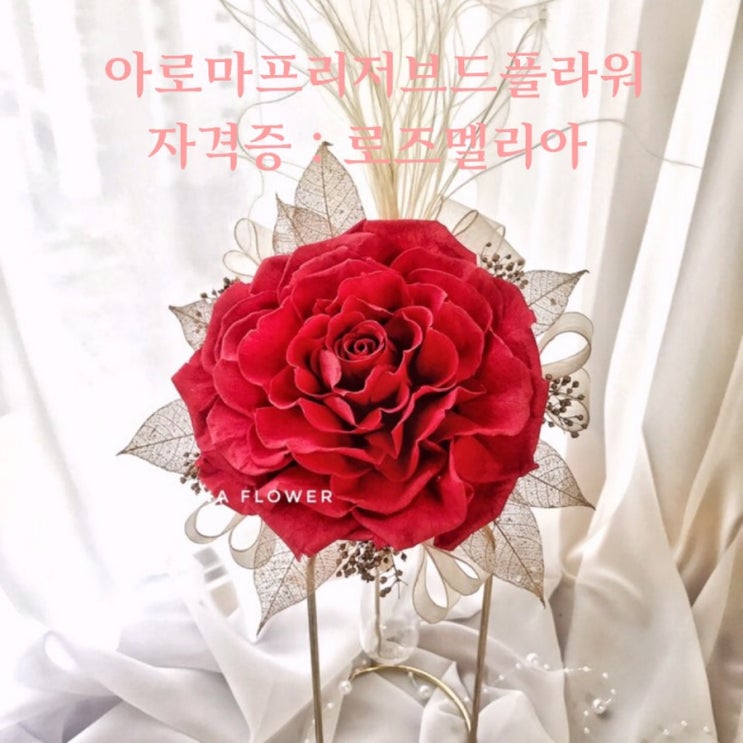  [부산프리저브드플라워]  아로마프리저브드플라워 자격증 기초 :: 로즈멜리아 부케 :: 부산 수영 광안 프리저브드플라워 전문 스튜디오 오하나플라워