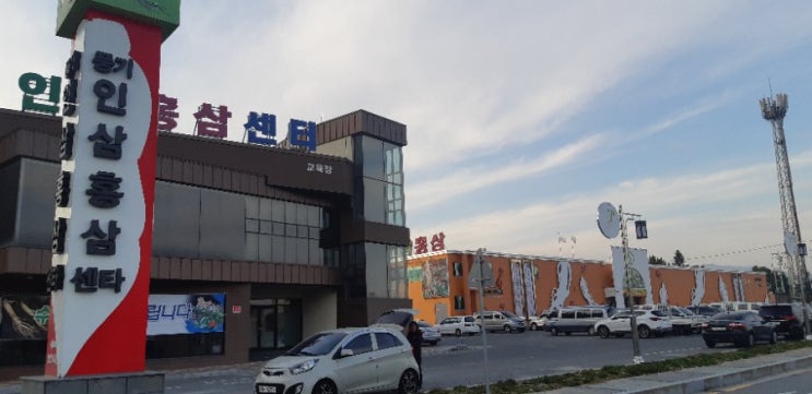풍기인삼쎈타 풍기인삼쎈타