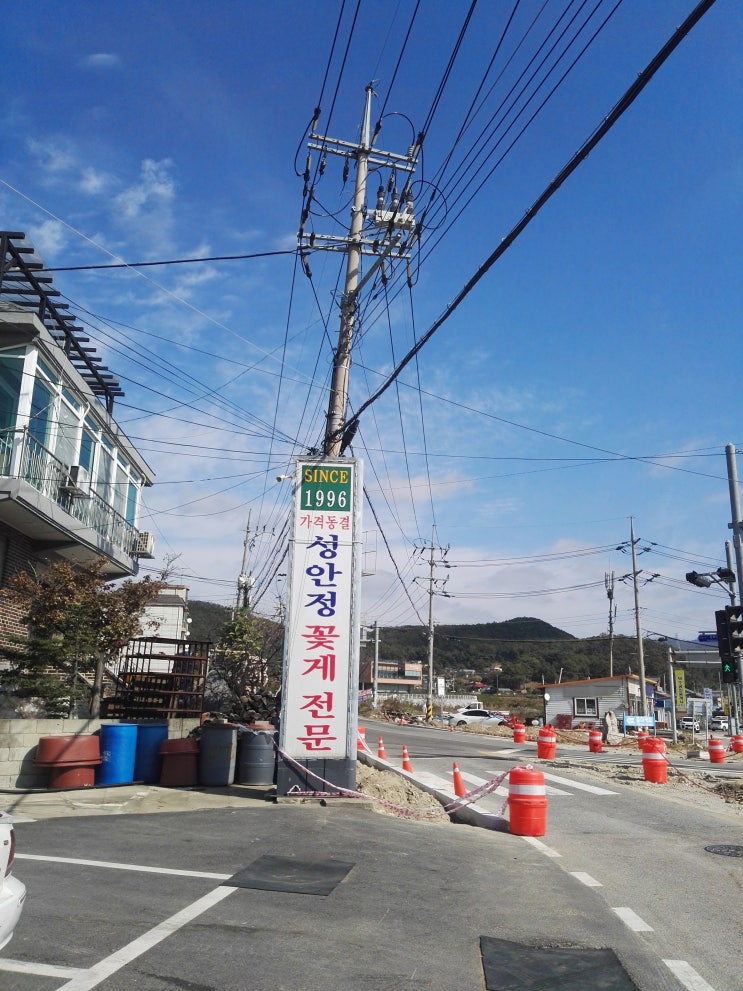  강화맛집 꽃게탕 성안정