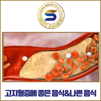  고지혈증에 좋은 음식과 피해야 하는 음식에 대해 함께 알아봐요!