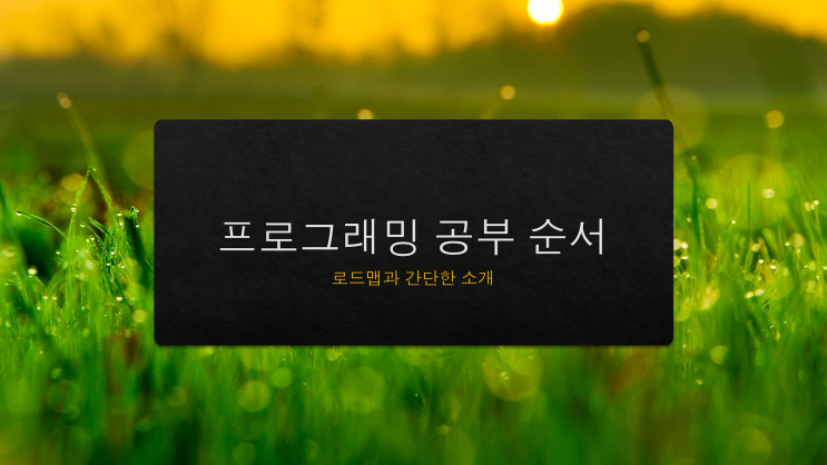  [정보] 프로그래밍 공부의 순서 - 로드맵과 간단한 소개