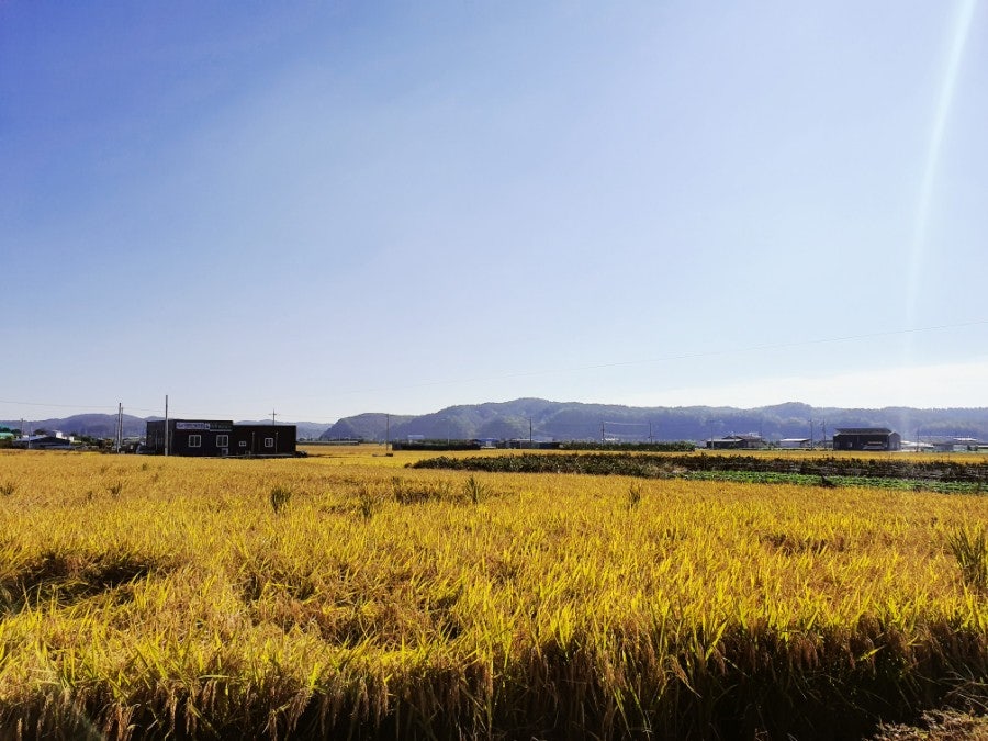 완산옥 영천본점 사진 2