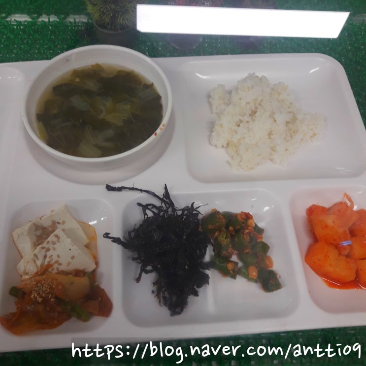  건강 식단  얼갈이 된장국