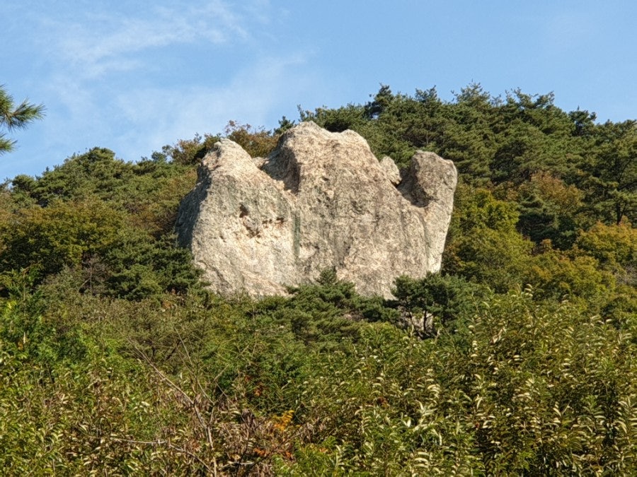 먹방제 사진 5