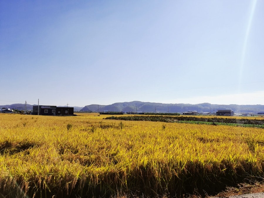 완산옥 영천본점 사진 1