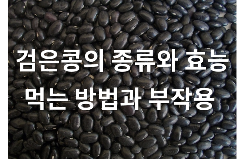 검은콩 검은콩 효능 여성분들께 추천드립니다 5