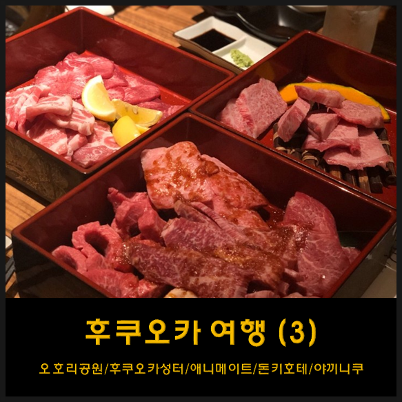  이시국에 가는 후쿠오카 자유 여행 -3 (오호리공원/후쿠오카 성터/텐진애니메이트/돈키호테/야끼니쿠규센닌/무민카페)