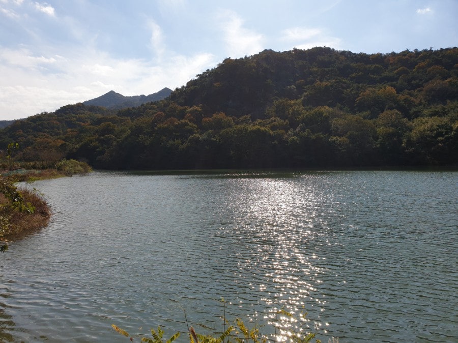 먹방제 사진 4