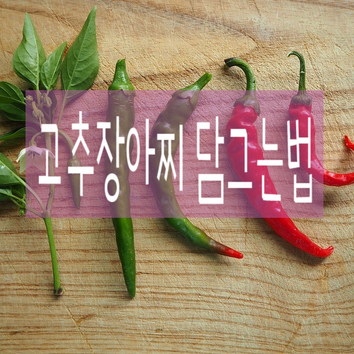 지금이 제때 고추장아찌 담그는법 손쉬운 방법 알아볼게요