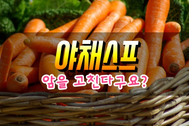  기적의 야채스프 건강법 효과 알아보기