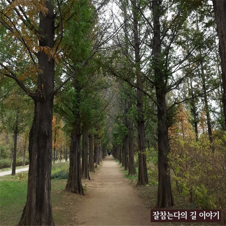  서울둘레길 7코스 봉산·앵봉산코스를 가다