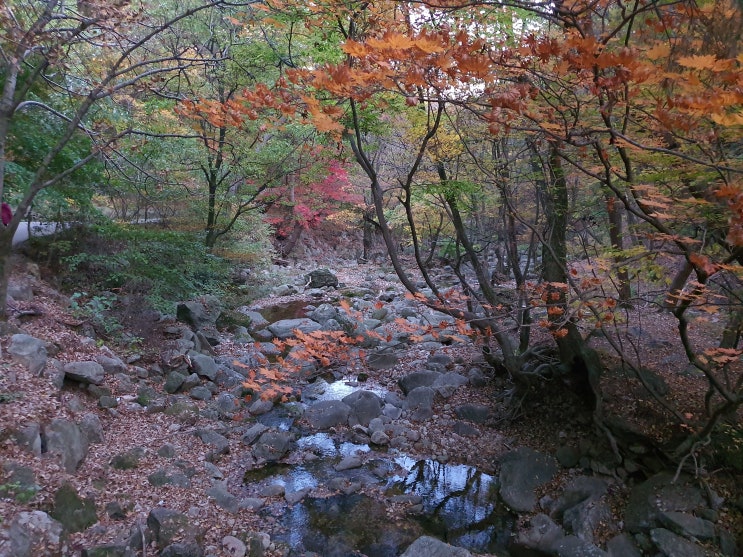  용문산 단풍 나들이