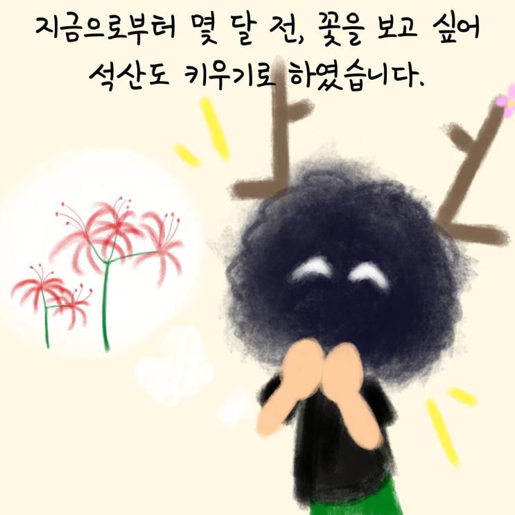  나의 초록빛 - 석산 구근