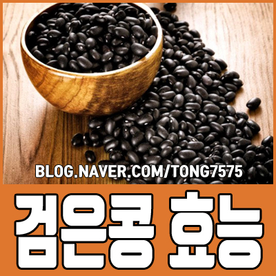  검은콩 효능 7가지 알아볼게요