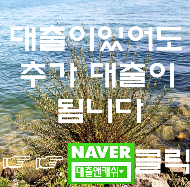  부산당일대출 사업자대출이 가능한곳