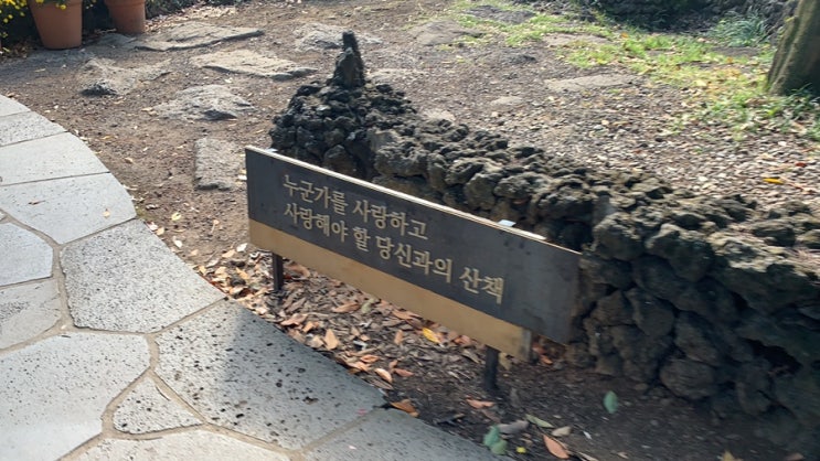  제주도 가볼만한 곳 추천!가을바람 솔솔 "카멜리아힐" 에서 힐링하기