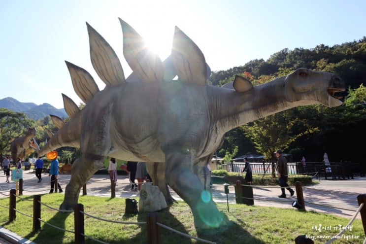  대구 고산골 앞산 공룡공원 아이와가볼만한곳 주말나들이 태봉이