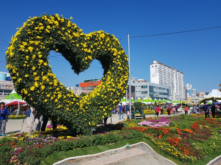  2019 마산항에서 마산국화축제를