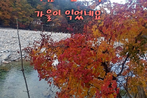 (주)백담 이미지