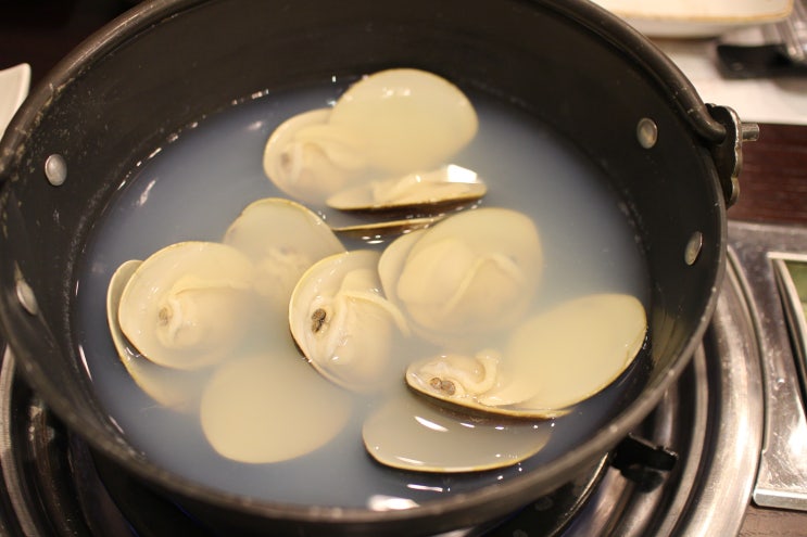  삼성동 너와집 백합 샤브샤브 미려코스 (백현점도 맛있어요 ;)