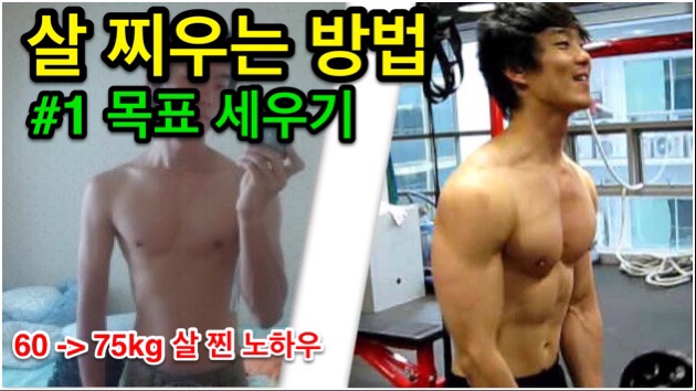  살 찌우는 법 #1 목표 정하기