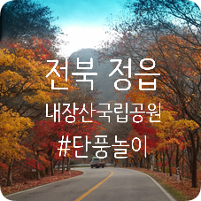 전북 정읍 내장산 국립공원 단풍 구경에서 내장사 사찰 구경까지 !