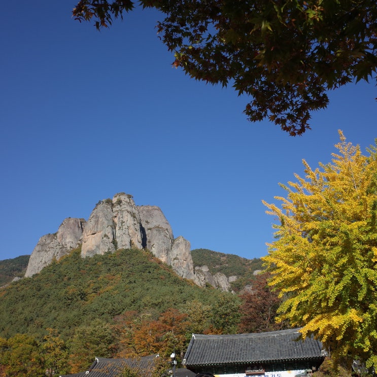  아이들과 주왕산 등반