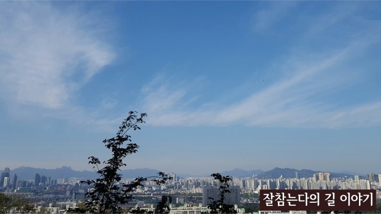  서울둘레길 4코스 대모·우면산코스를 가다