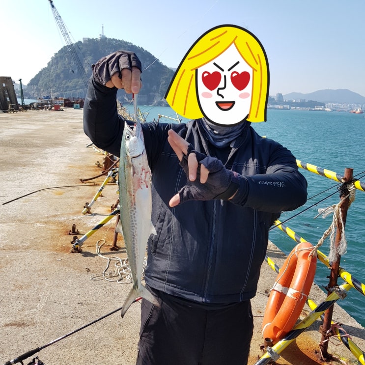  부산 영도 조도방파제 루어 낚시(2번째 도전)