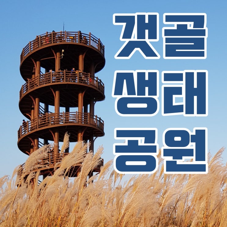 시흥 갯골생태공원에 억새풀과 전망대에 다녀왔어요.(주차Tip+)
