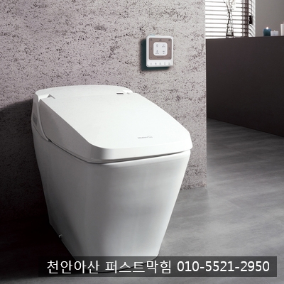  천안 아산 하수구막힘 / 비데 사용 시 주의사항과 올바른 비데 사용법, 효과적인 좌욕법에 대하여