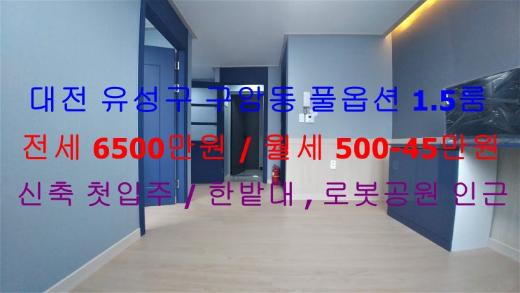  (대전 유성구 구암동) 한밭대, 로봇공원 인근에 있는 신축 첫입주 !! 풀옵션 1.5룸 저렴한 전세, 월세 모두 가능한 매물입니다 ^^