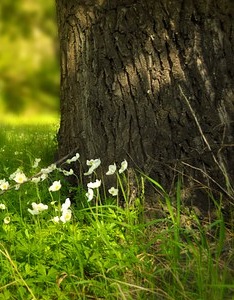 산과 산이 만나는 땅… ‘가을 풍경 명소’ 충북 괴산 산과 산이 만나는 땅… ‘가을 풍경 명소’ 충북 괴산