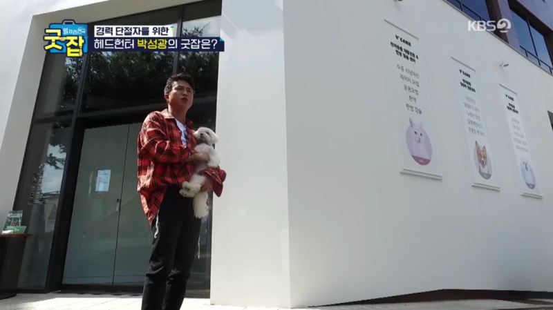 브이케어 강아지유치원