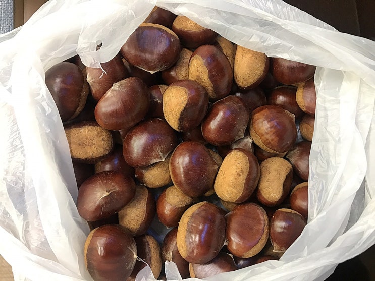  청주보청기 신경써줘서 고마워