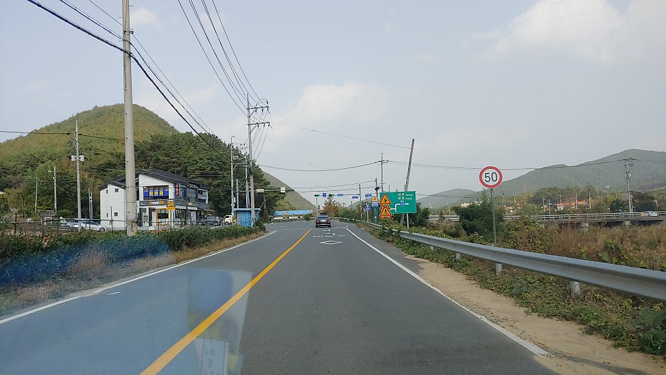 엉게나무 사진 2
