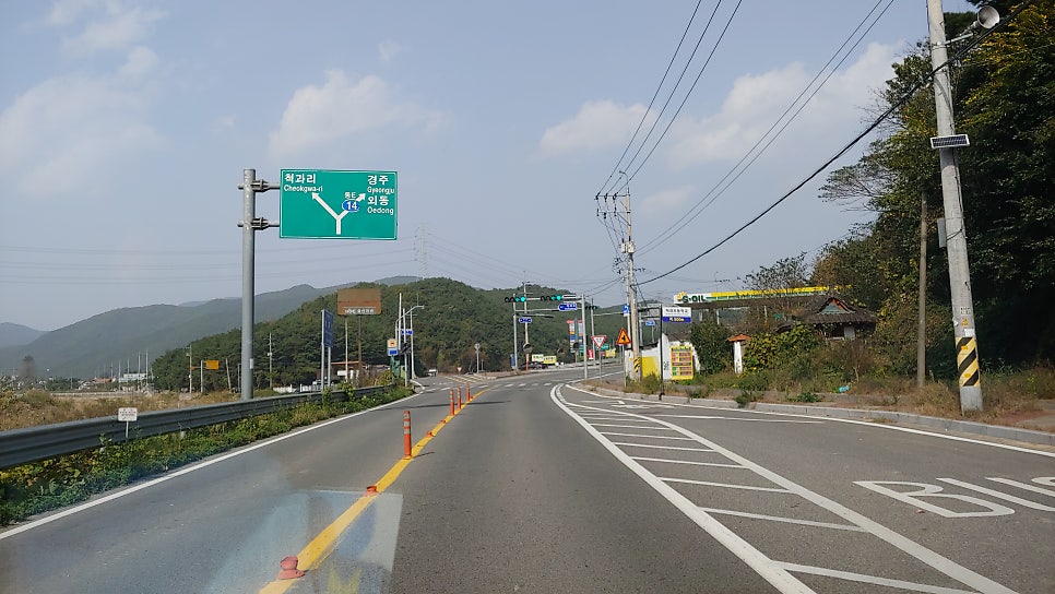 엉게나무 사진 5