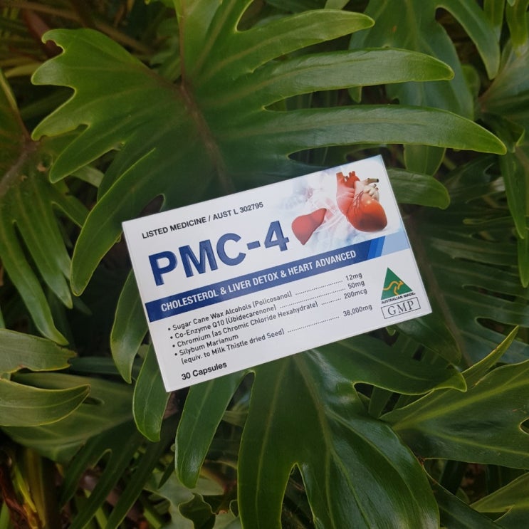  건강한 식단과 PMC4