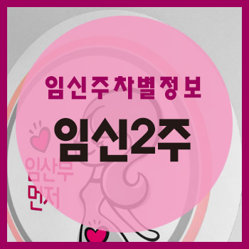  임신 2주차 정보
