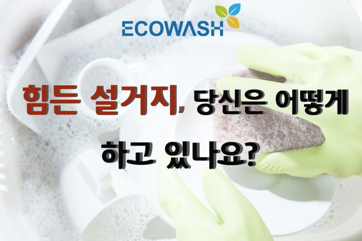  에코워시 초음파식기세척기렌탈 알아봐요!