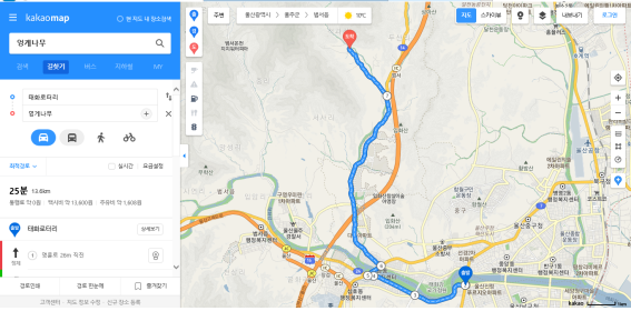 엉게나무 사진 1